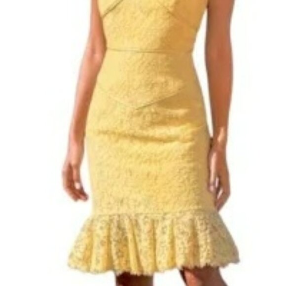 NWT Nue by Shani Trumpet Cap Sleeve Lace Midi Dress.  SZ 10 - Picture 4 of 9